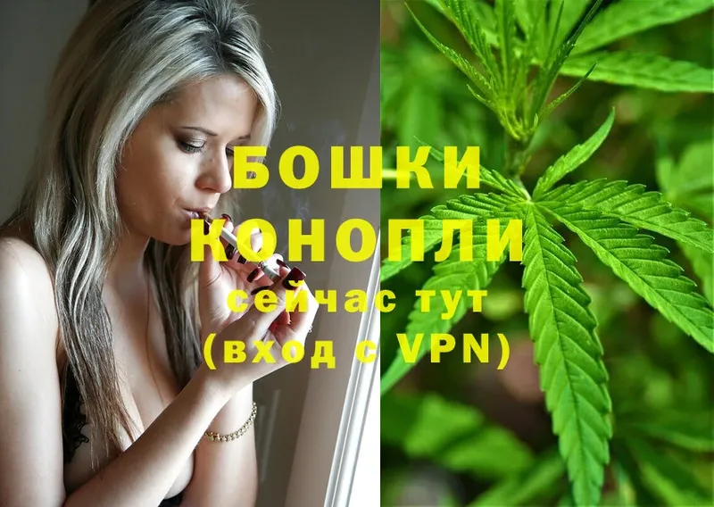 МАРИХУАНА THC 21%  купить наркоту  Алатырь 